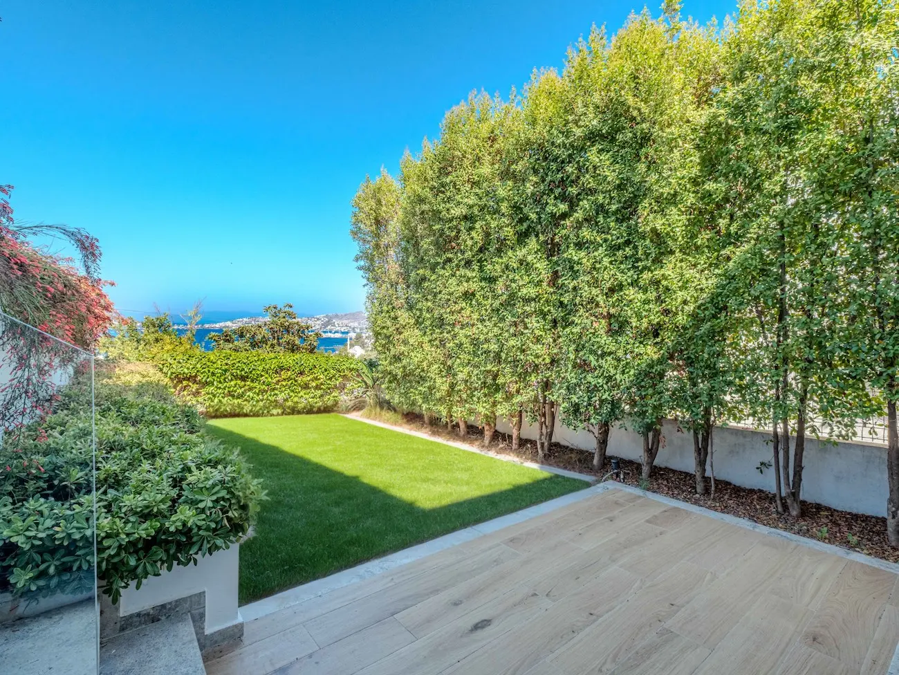 Mature garden
